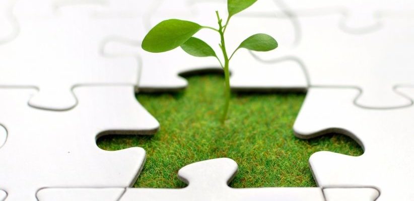 Тренінг з “Соціального підприємництва”