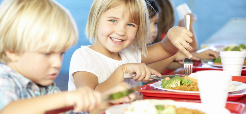 Навчальна програма з впровадження основ НАССР в закладах освіти